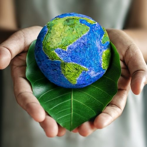 sustentabilidade sustentabilidade